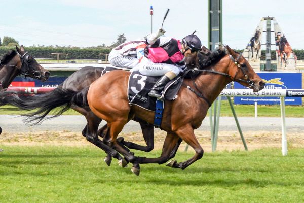 Lightning strikes in Southland Guineas