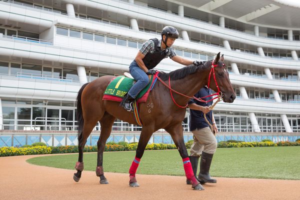 Japan bans public from race meetings