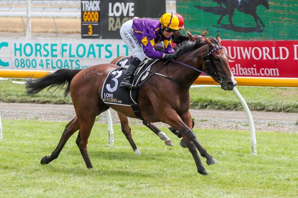 Plenty of Live Drama expected in Wingatui feature