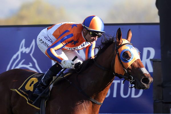 Bosson ticking up frequent flyer points