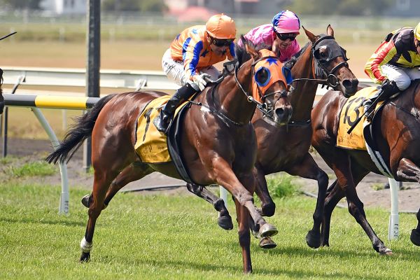 Trans-Tasman assault for Te Akau