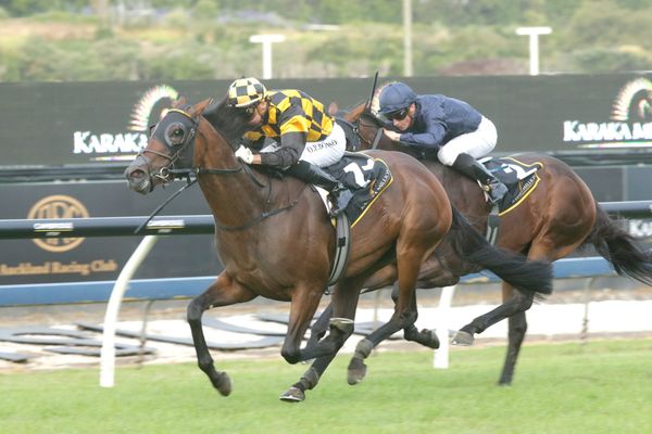 Probabeel on target for Surround