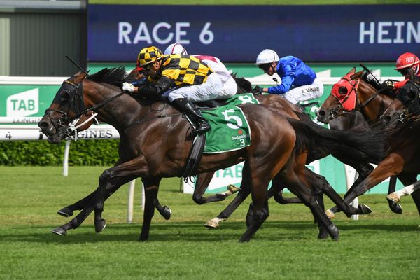 Probabeel beats Funstar in G1 Surround