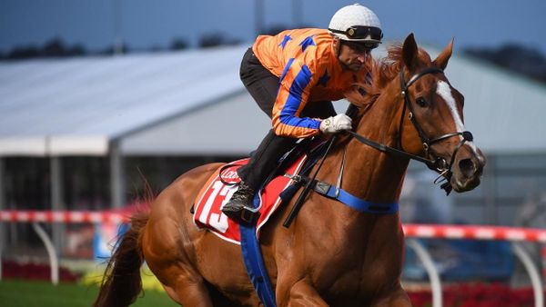 Shark circling for first G1 win in Oz