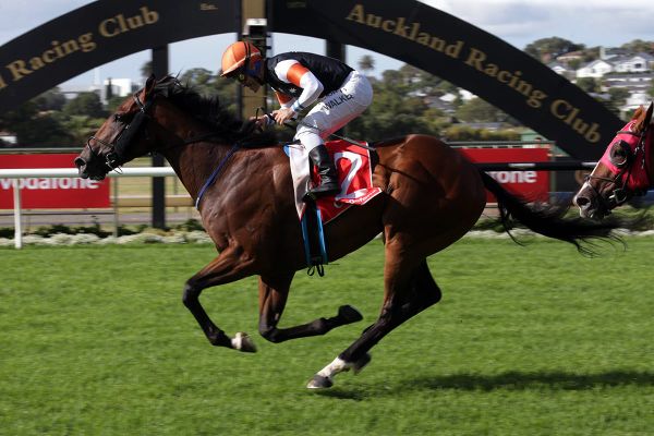 Sherwood Forest outstays them in Derby upset