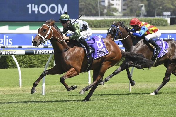 Waller unveils G1 ambitions for Subpoenaed