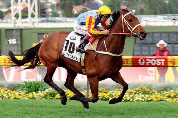 Cox Plate 100 celebrations kick off in NZ