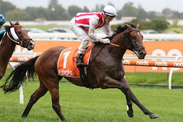Super Seth returns in style in G3 Manfred