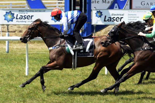 Supera stays home for Lisa Chittick Plate