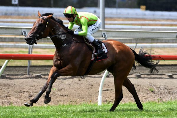 Superior victory for debutant
