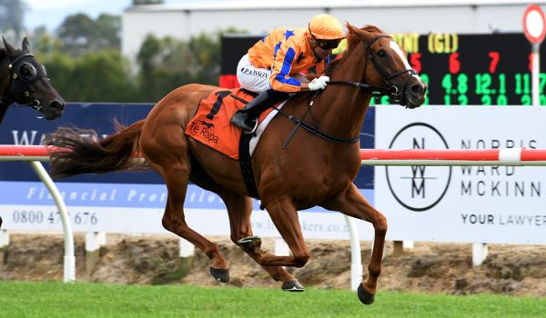 Windsor announce 2020 fees