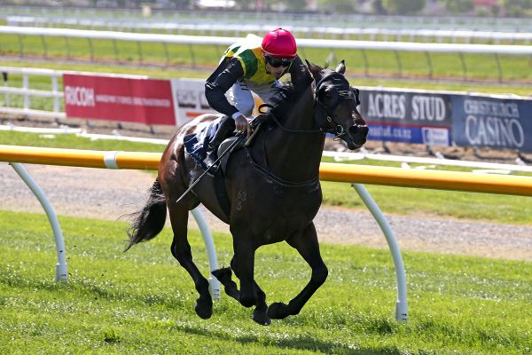 The Chosen One kicks off Sydney Cup campaign