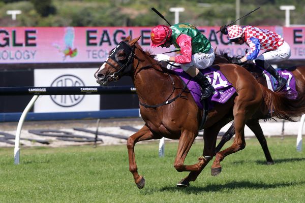 Derby tilt confirmed for Two Illicit