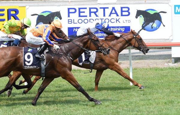 Valetti breaks maiden for owner-trainer duo