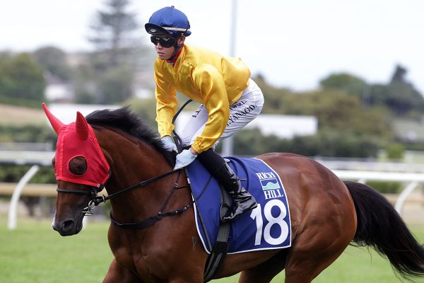 Za Za Gabor starting to reach potential