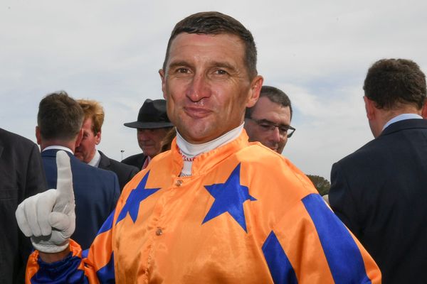 Bosson suspended for shark ride