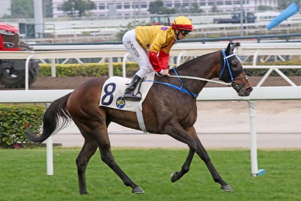 Columbus leads the Kiwis in this year’s BMW Hong Kong Derby quest