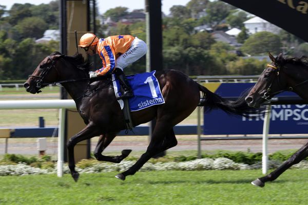 Group One roll continues for Te Akau Racing