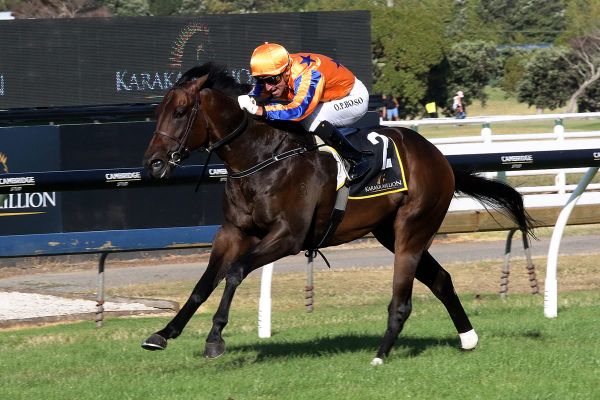 Richards shoots for further Group One spoils at Ellerslie