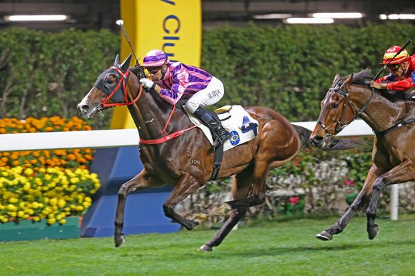 Moreira has faith in Dor Dor