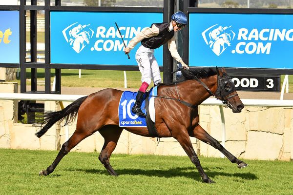 Etah James thriving ahead of Sydney Cup