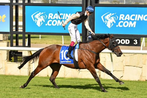Lupton’s last hurrah in Auckland Cup