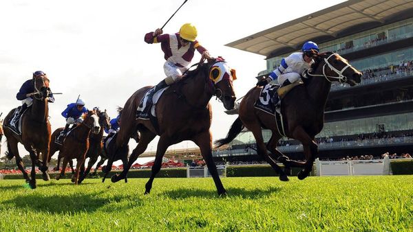 Waller's host of chances for 7th Doncaster