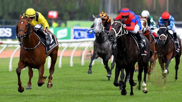 Tancred likely for Verry Elleegant