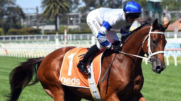 Kolding to bounce back in All-Star Mile