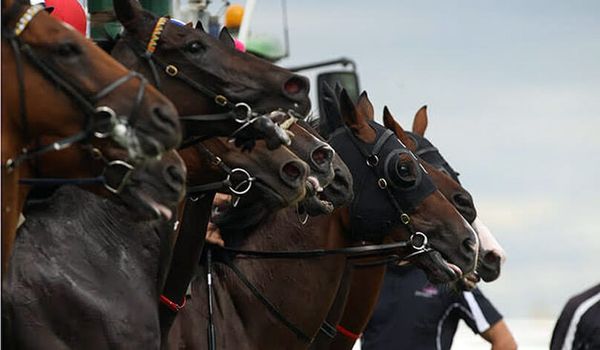 Oakbank off with prize money cuts in SA