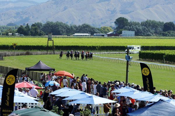 New Zealand Racing open for business