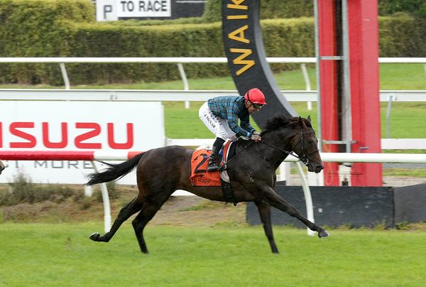 Decision pending on Harlech’s future
