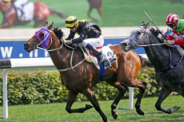 Circuit Three features in Schofield treble