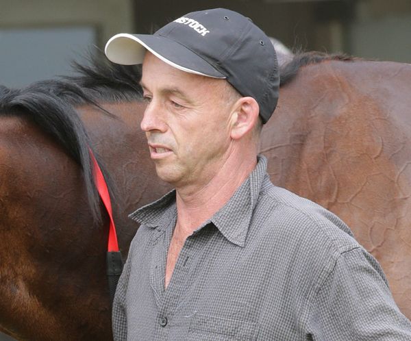 Shark the best yet for breeder