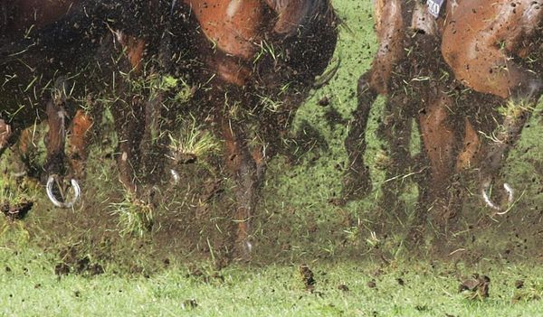 Irish racing among sports cancelled