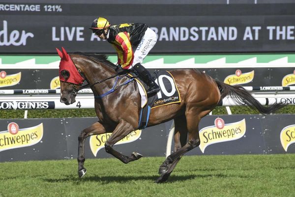 House Of Cartier ready for Rosehill challenge