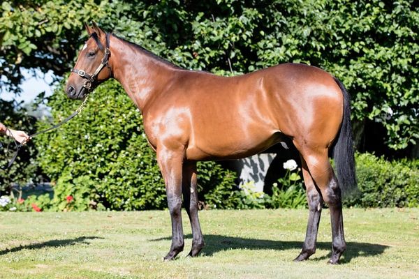 Back-to-back wins for Juneau Park