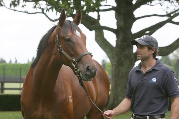 Tangmere tops in Hong Kong