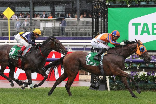 Melody Belle usurped as Doncaster favourite
