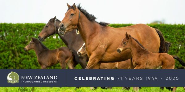 NZTBA COVID-19 Information