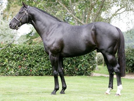 Perfectly Ready succumbs to colic