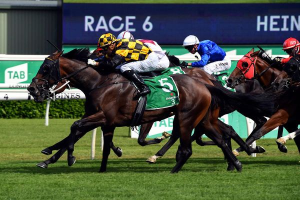 Probabeel looking to turn tables in Vinery