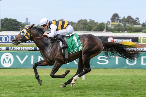 Another Derby prospect for formidable alliance