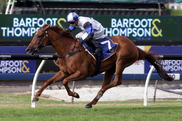 Roger That upsets in Auckland Cup