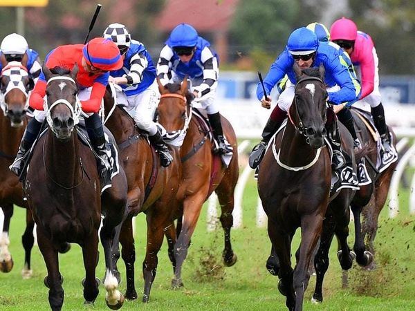 Rosehill suspensions for Bowman and Berry