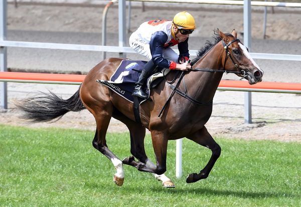 Stakes target for Safe Passage