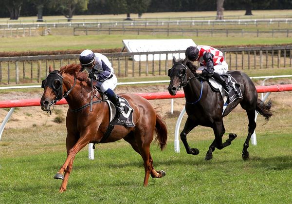 Scott Base back to winning form in Tauranga feature