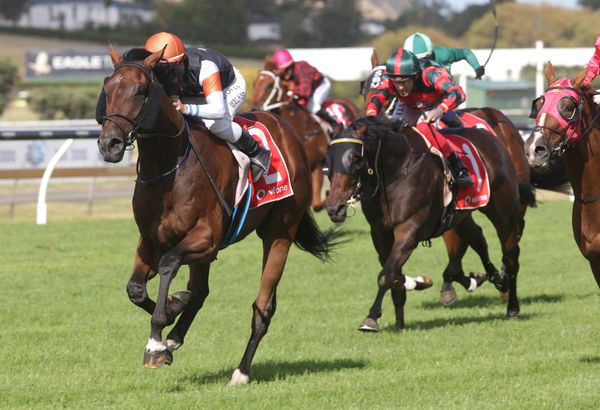 Technology vital in Sydney preparation