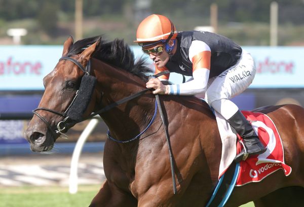 Pike’s Australian hopefuls on show at Hastings