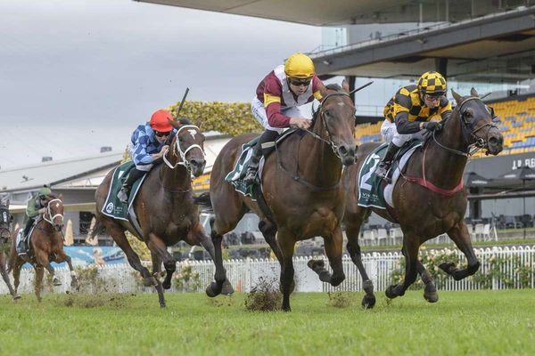 Plans to remain fluid for Probabeel
